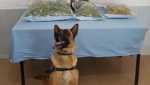 Kütahya'da uyuşturucu imal eden 1 şüpheli yakalandı