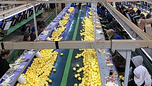 Limon ihracatında ön izin şartının kaldırılmasından memnunlar