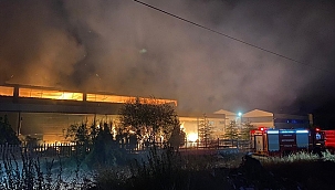 Manisa'da ahşap fabrikasında yangın