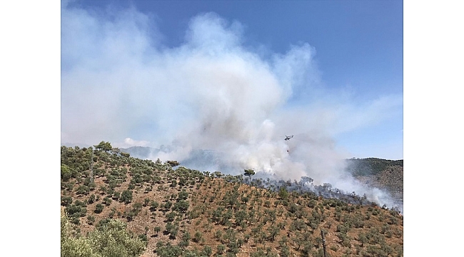 Orman yangınına hava ve karadan müdahale ediliyor