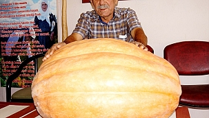 Sarıgöl'de 80 kiloluk bal kabağı yetiştirildi