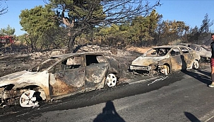Seferihisar'da otluk alanda çıkan yangında yaklaşık 58 araç yandı