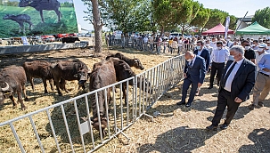 Soyer'in köylüye desteği sürüyor 13 Ağustos 2020 Perşembe