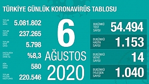 Türkiye'de Kovid-19'dan 220 bin 546 kişi iyileşti