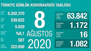Türkiye'de Kovid-19'dan 222 bin 656 kişi iyileşti