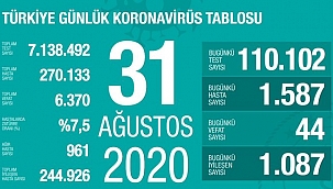 Türkiye'de Kovid-19 tedavisi tamamlananların sayısı 245 bine yaklaştı