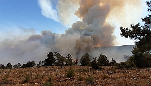 Uşak'ta orman yangınlarına müdahale ediliyor