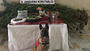 Uşak'ta uyuşturucu operasyonu