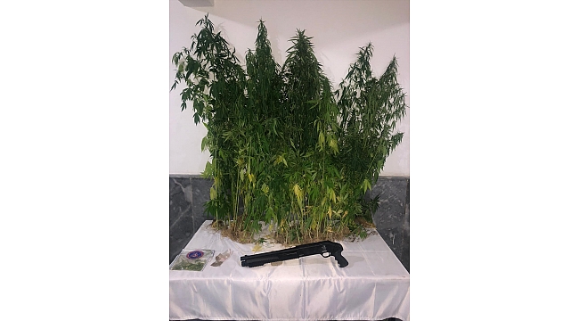 Uyuşturucu operasyonunda 1 şüpheli tutuklandı
