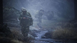 320 PKK'lı terörist etkisiz hale getirildi