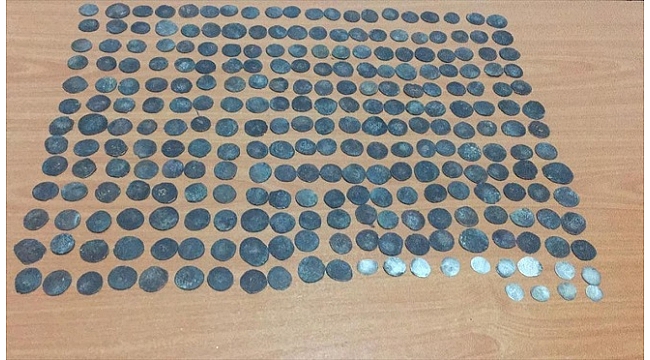 Denizli'de 264 sikke ele geçirildi