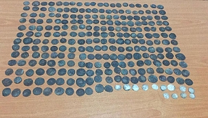 Denizli'de 264 sikke ele geçirildi