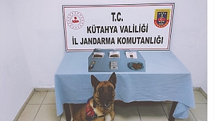 Domaniç'te uyuşturucu şüphelisi yakalandı