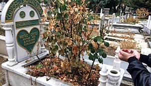 Hatice'nin katili, 8 yıl sonra başka bir olaya karışınca yakalandı