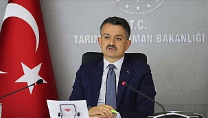 İşte sağlımızla oynayan firmaların isimleri