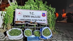 İzmir'de 15 kilo esrar, 862 kök Hint keneviri ele geçirildi
