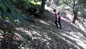 İzmir'de 281 kök Hint keneviri ile 10 kilo 300 gram esrar ele geçirildi