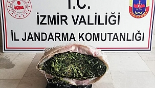 İzmir'de 3 kilo 125 gram esrar ele geçirildi