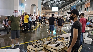 İzmir'de balık sezonu açıldı
