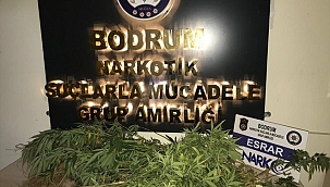 Muğla'da uyuşturucu operasyonunda 3 zanlı yakalandı