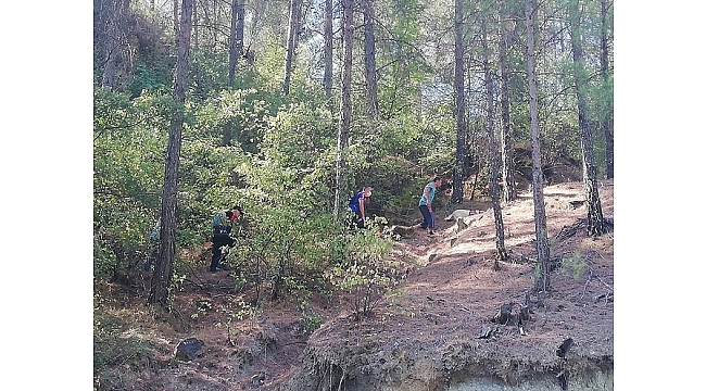 Ormanda kaybolan kadın aranıyor