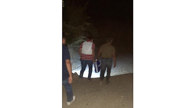 Saklandığı ağaç kavuğunda yakalandı