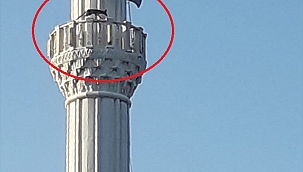 Tilki'nin çıktığı yere bakın