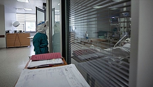 Türkiye'de son 24 saatte 1648 kişiye Kovid-19 tanısı konuldu