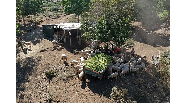 Yayladaki çocukların öğretmen hasretini okul müdürü giderdi