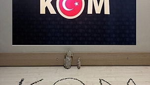 Afyonkarahisar'da 255 parça tarihi eser ele geçirildi