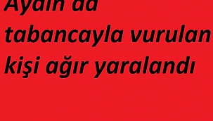 Aydın'da tabancayla vurulan kişi ağır yaralandı