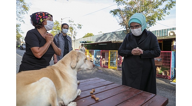 Emine Erdoğan, "Leblebi" isimli engelli köpeği sahiplendi