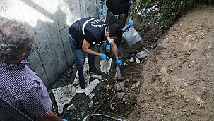 İmşaat kazısında insan kemikleri bulundu