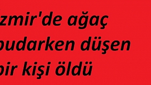 İzmir'de ağaç budarken düştüğü iddia edilen kişi öldü