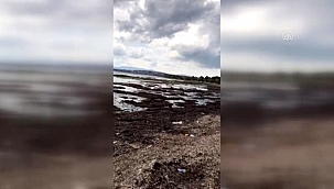 İzmir'deki deprem - Seferihisar'da deniz suyu çekildi (2)