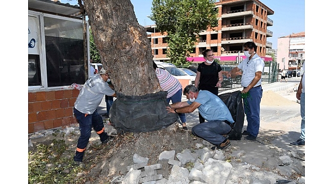 Karabağlar Belediyesi’nden yeşile saygı