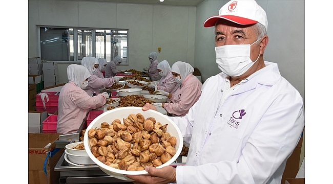 Kuru incir ihracatında hedef 60 bin ton