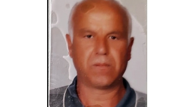 Muğla'da ağaçtan düşen kişi öldü