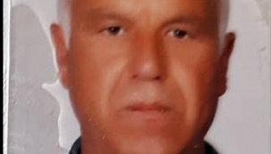 Muğla'da ağaçtan düşen kişi öldü