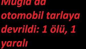Muğla'da otomobil tarlaya devrildi: 1 ölü, 1 yaralı