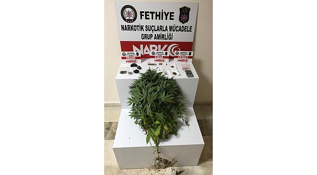 Muğla'da uyuşturucu ticareti