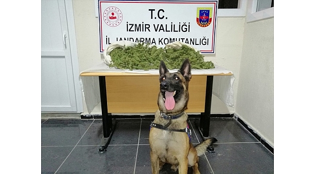 Ödemiş ve Tire'deki uyuşturucu operasyonlarında 3 kişi yakalandı