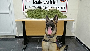 Ödemiş ve Tire'deki uyuşturucu operasyonlarında 3 kişi yakalandı