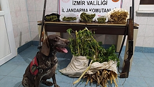 Uyuşturucu operasyonlarında 4 kişi gözaltına alındı