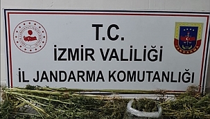 Uyuşturucu operasyonlarında 6 kişi yakalandı