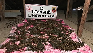 Uyuşturucu operasyonunda 2 şüpheli yakalandı
