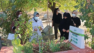 Yasin Börü ve arkadaşları mezarları başında anıldı