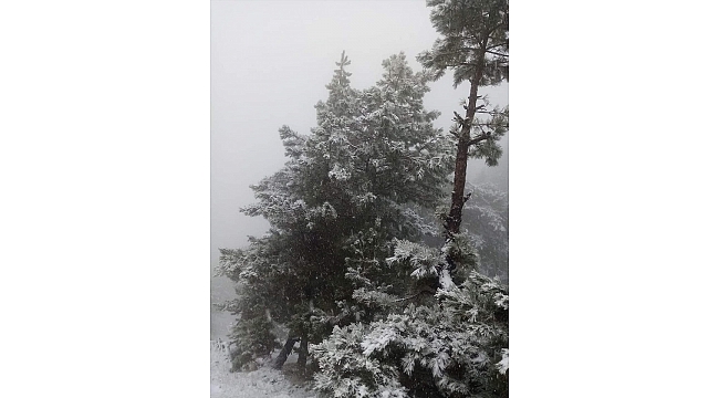 Alaşehir'e yılın ilk karı düştü