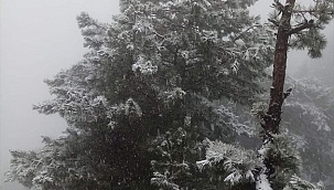 Alaşehir'e yılın ilk karı düştü
