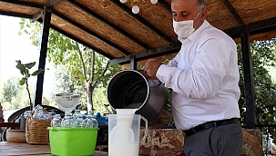 Aydın'da üretilen deve sütüne talep arttı